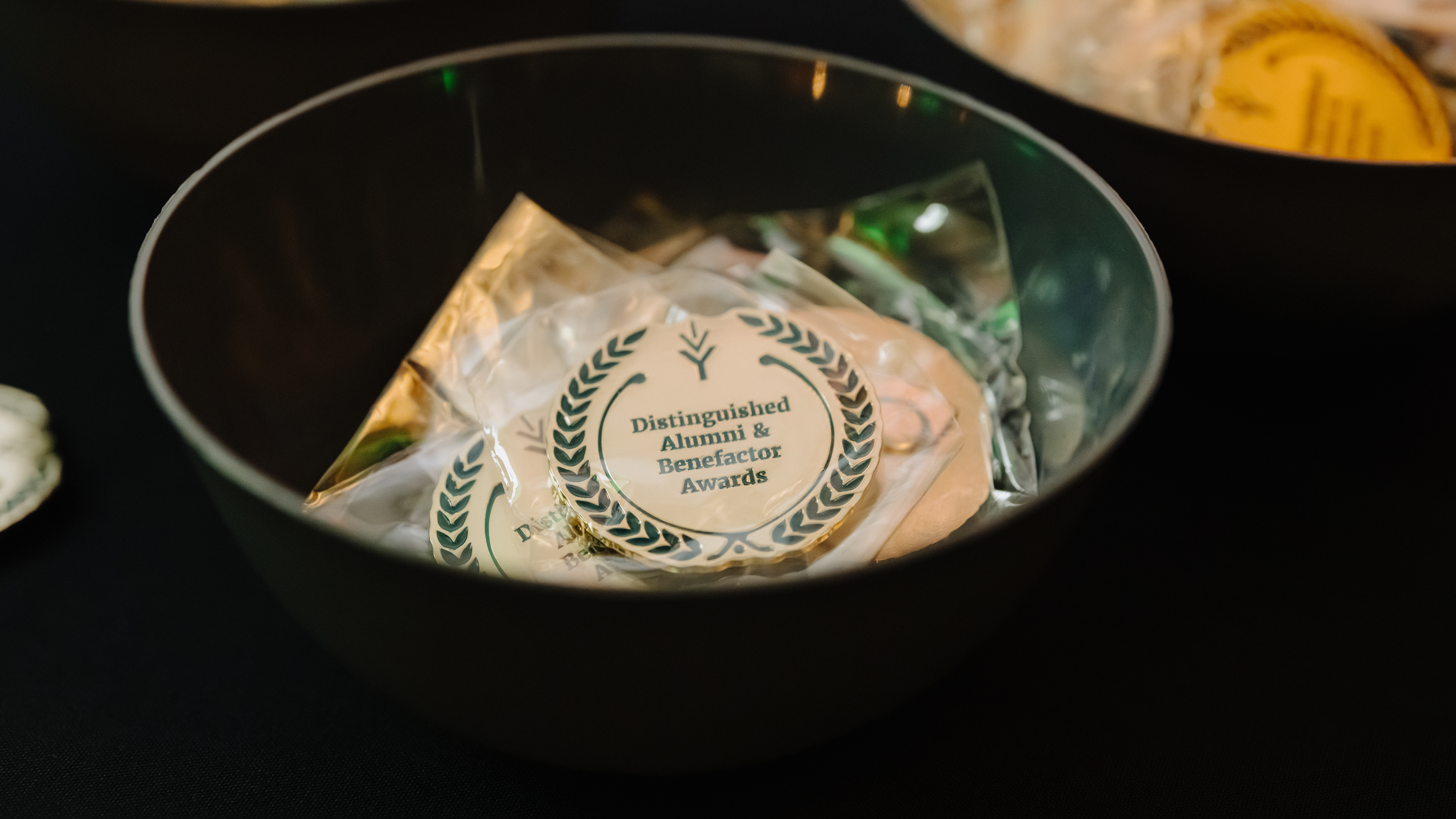 Distinguished Alumni Awards